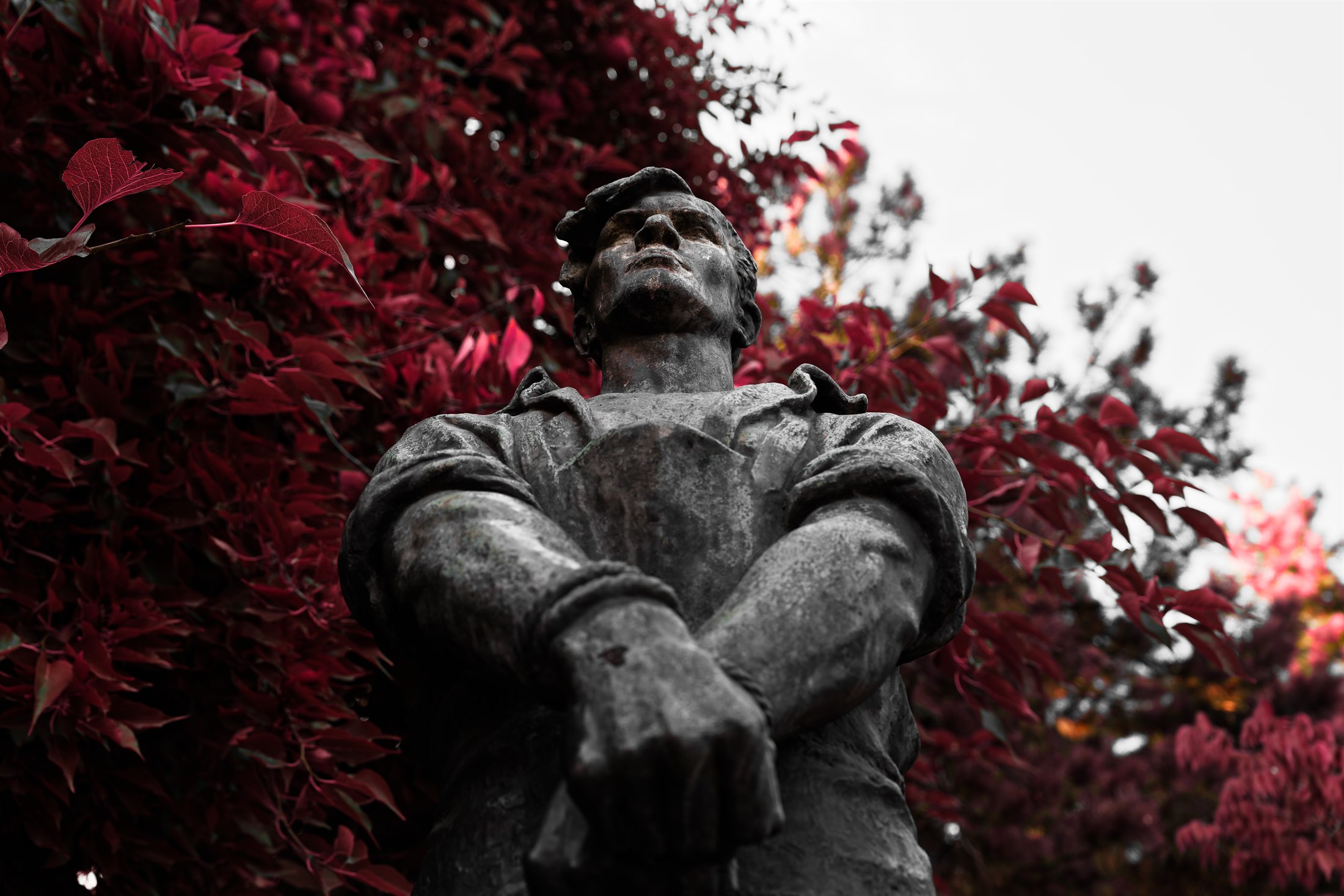A partisan statue seen from below, bound hands in the foreground and crimson leaves behind his upturned face.